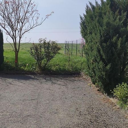 Gîte la Metairie, au calme à la campagne Saint-Seurin-de-Palenne Extérieur photo